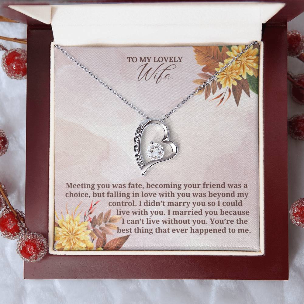 To My Lovely Wife on Thanksgiving