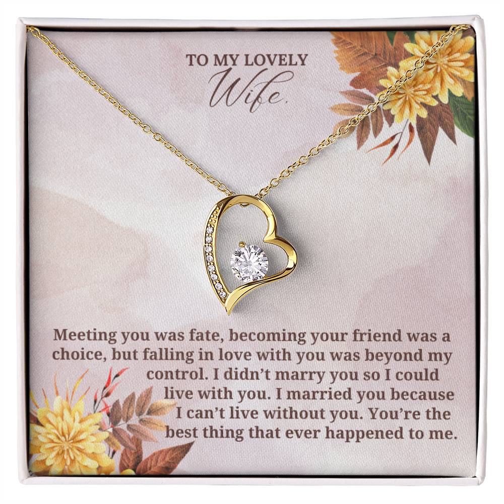 To My Lovely Wife on Thanksgiving