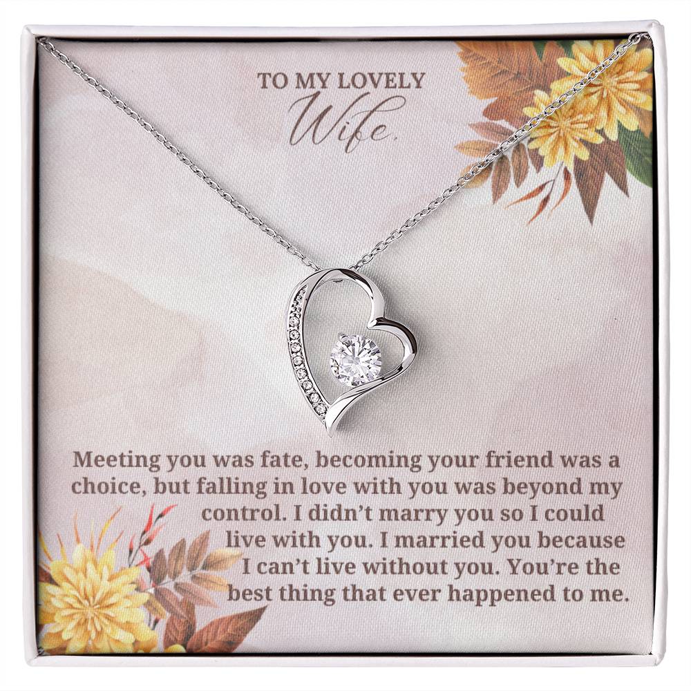To My Lovely Wife on Thanksgiving