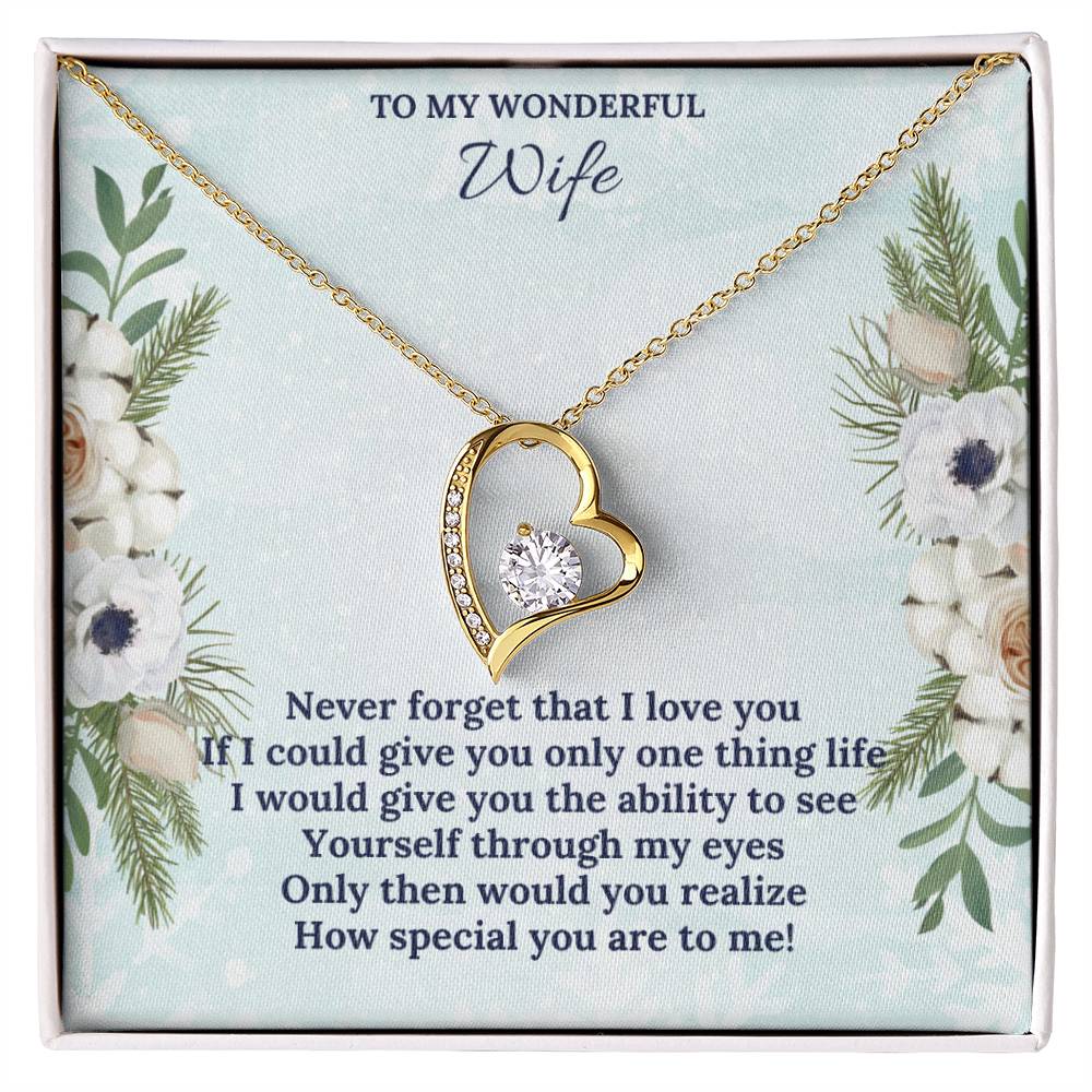 To My Wonderful WIFE this Christmas | Forever Love Necklace